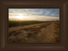 Load image into Gallery viewer, Plate 7 - Calm Before the Storm