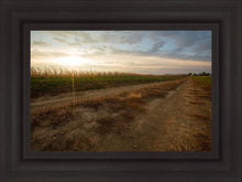 Load image into Gallery viewer, Plate 7 - Calm Before the Storm