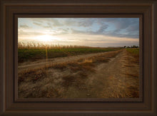 Load image into Gallery viewer, Plate 7 - Calm Before the Storm