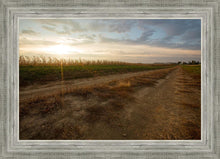 Load image into Gallery viewer, Plate 7 - Calm Before the Storm