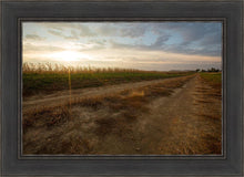 Load image into Gallery viewer, Plate 7 - Calm Before the Storm