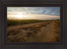 Load image into Gallery viewer, Plate 7 - Calm Before the Storm