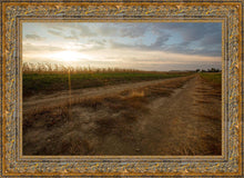 Load image into Gallery viewer, Plate 7 - Calm Before the Storm