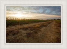 Load image into Gallery viewer, Plate 7 - Calm Before the Storm