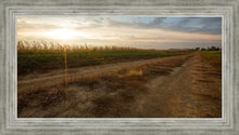 Load image into Gallery viewer, Plate 7 - Calm Before the Storm