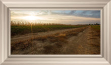 Load image into Gallery viewer, Plate 7 - Calm Before the Storm