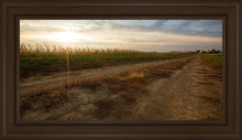 Load image into Gallery viewer, Plate 7 - Calm Before the Storm