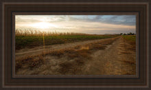 Load image into Gallery viewer, Plate 7 - Calm Before the Storm