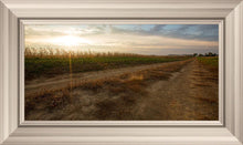 Load image into Gallery viewer, Plate 7 - Calm Before the Storm