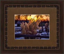 Load image into Gallery viewer, Plate 1 - Sunset Grasses