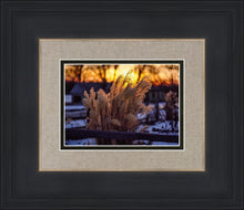 Load image into Gallery viewer, Plate 1 - Sunset Grasses