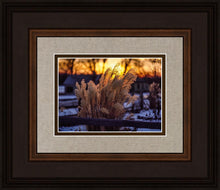 Load image into Gallery viewer, Plate 1 - Sunset Grasses