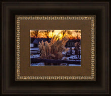 Load image into Gallery viewer, Plate 1 - Sunset Grasses