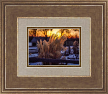 Load image into Gallery viewer, Plate 1 - Sunset Grasses