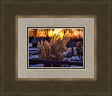Load image into Gallery viewer, Plate 1 - Sunset Grasses