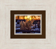 Load image into Gallery viewer, Plate 1 - Sunset Grasses
