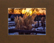 Load image into Gallery viewer, Plate 1 - Sunset Grasses