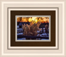 Load image into Gallery viewer, Plate 1 - Sunset Grasses