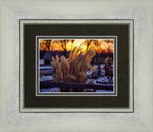 Load image into Gallery viewer, Plate 1 - Sunset Grasses