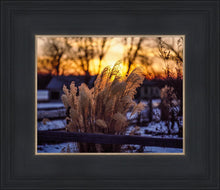 Load image into Gallery viewer, Plate 1 - Sunset Grasses