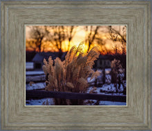 Load image into Gallery viewer, Plate 1 - Sunset Grasses