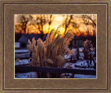 Load image into Gallery viewer, Plate 1 - Sunset Grasses