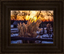 Load image into Gallery viewer, Plate 1 - Sunset Grasses