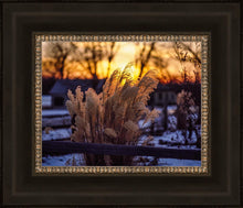 Load image into Gallery viewer, Plate 1 - Sunset Grasses