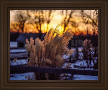 Load image into Gallery viewer, Plate 1 - Sunset Grasses