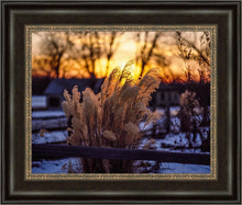 Load image into Gallery viewer, Plate 1 - Sunset Grasses