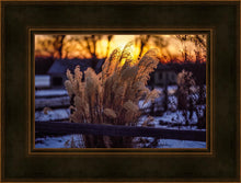 Load image into Gallery viewer, Plate 1 - Sunset Grasses