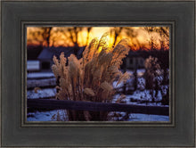Load image into Gallery viewer, Plate 1 - Sunset Grasses