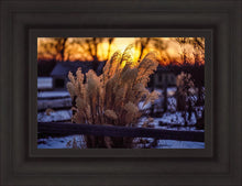 Load image into Gallery viewer, Plate 1 - Sunset Grasses