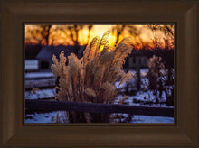 Load image into Gallery viewer, Plate 1 - Sunset Grasses
