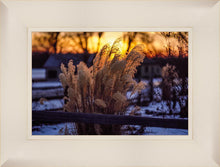 Load image into Gallery viewer, Plate 1 - Sunset Grasses