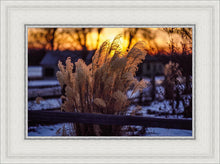 Load image into Gallery viewer, Plate 1 - Sunset Grasses