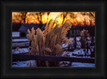 Load image into Gallery viewer, Plate 1 - Sunset Grasses
