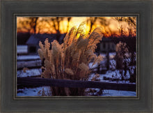 Load image into Gallery viewer, Plate 1 - Sunset Grasses