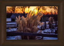 Load image into Gallery viewer, Plate 1 - Sunset Grasses