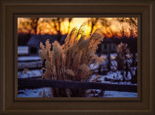 Load image into Gallery viewer, Plate 1 - Sunset Grasses