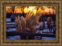 Load image into Gallery viewer, Plate 1 - Sunset Grasses