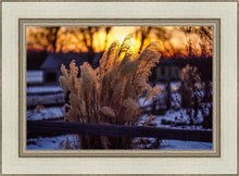 Load image into Gallery viewer, Plate 1 - Sunset Grasses
