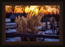 Load image into Gallery viewer, Plate 1 - Sunset Grasses