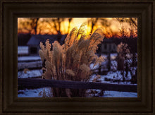 Load image into Gallery viewer, Plate 1 - Sunset Grasses