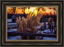 Load image into Gallery viewer, Plate 1 - Sunset Grasses