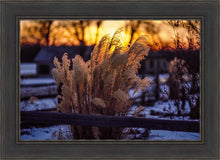 Load image into Gallery viewer, Plate 1 - Sunset Grasses