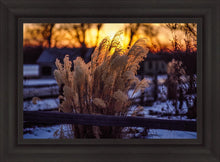 Load image into Gallery viewer, Plate 1 - Sunset Grasses