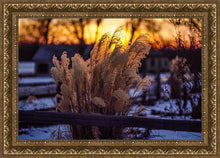Load image into Gallery viewer, Plate 1 - Sunset Grasses