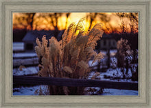 Load image into Gallery viewer, Plate 1 - Sunset Grasses