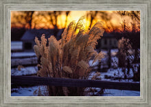 Load image into Gallery viewer, Plate 1 - Sunset Grasses